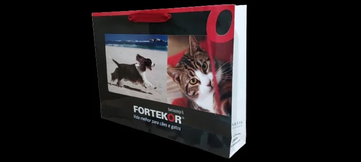 Fotografia real de sacolas de papel em formato horizontal, referência novartis-1
