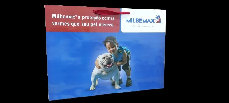 Fotografia real de sacolas de papel em formato horizontal, referência novartis-2